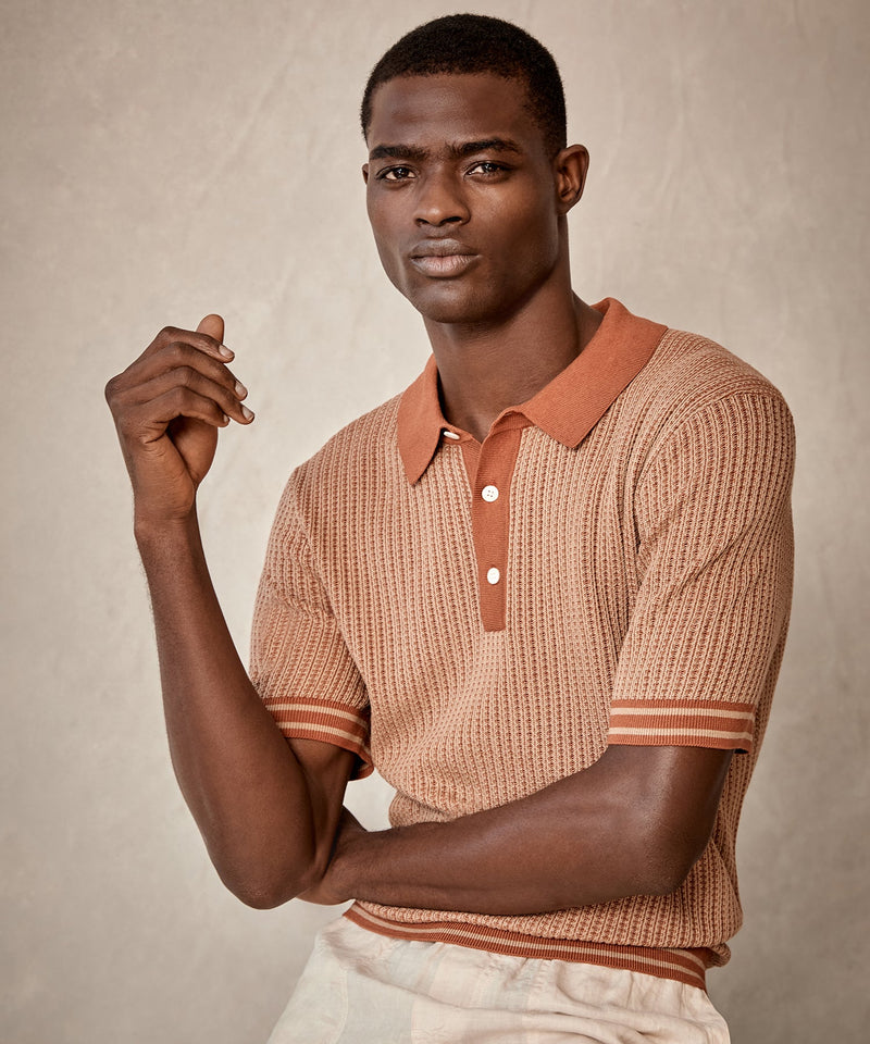 Textured Stripe Polo in Gingersnap