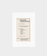 D.S. & Durga Big Sur Eucalyptus Fragrance 50 ML