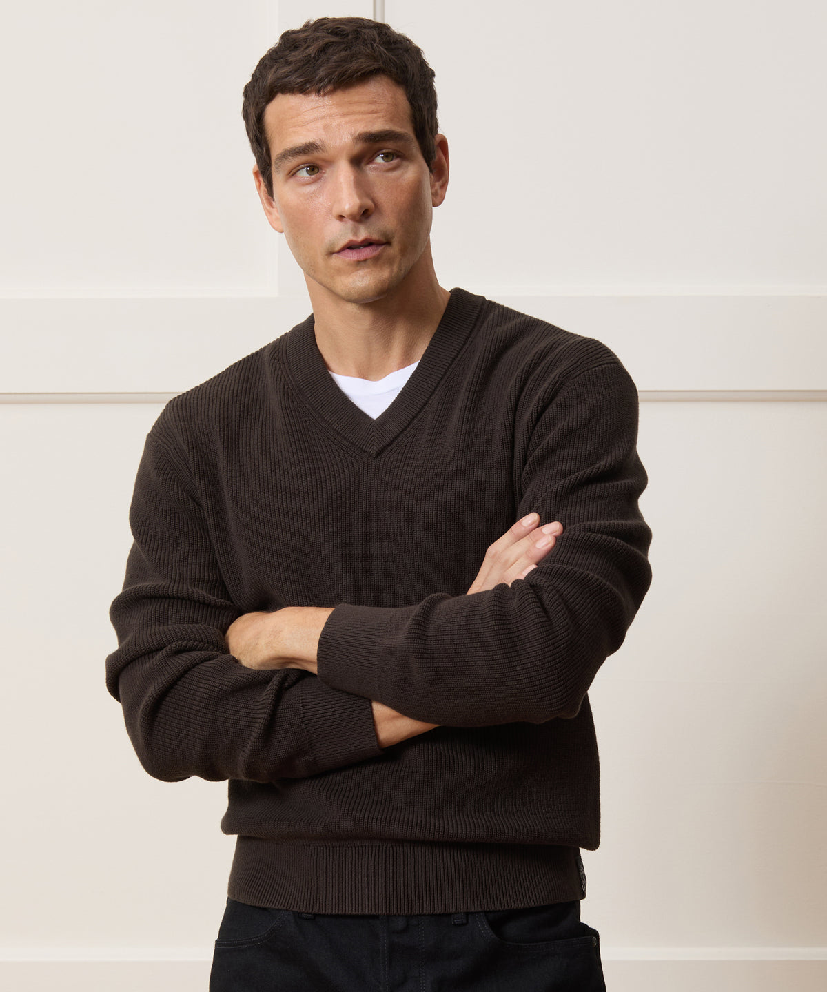 Relaxed Beechwood V-Neck Sweater