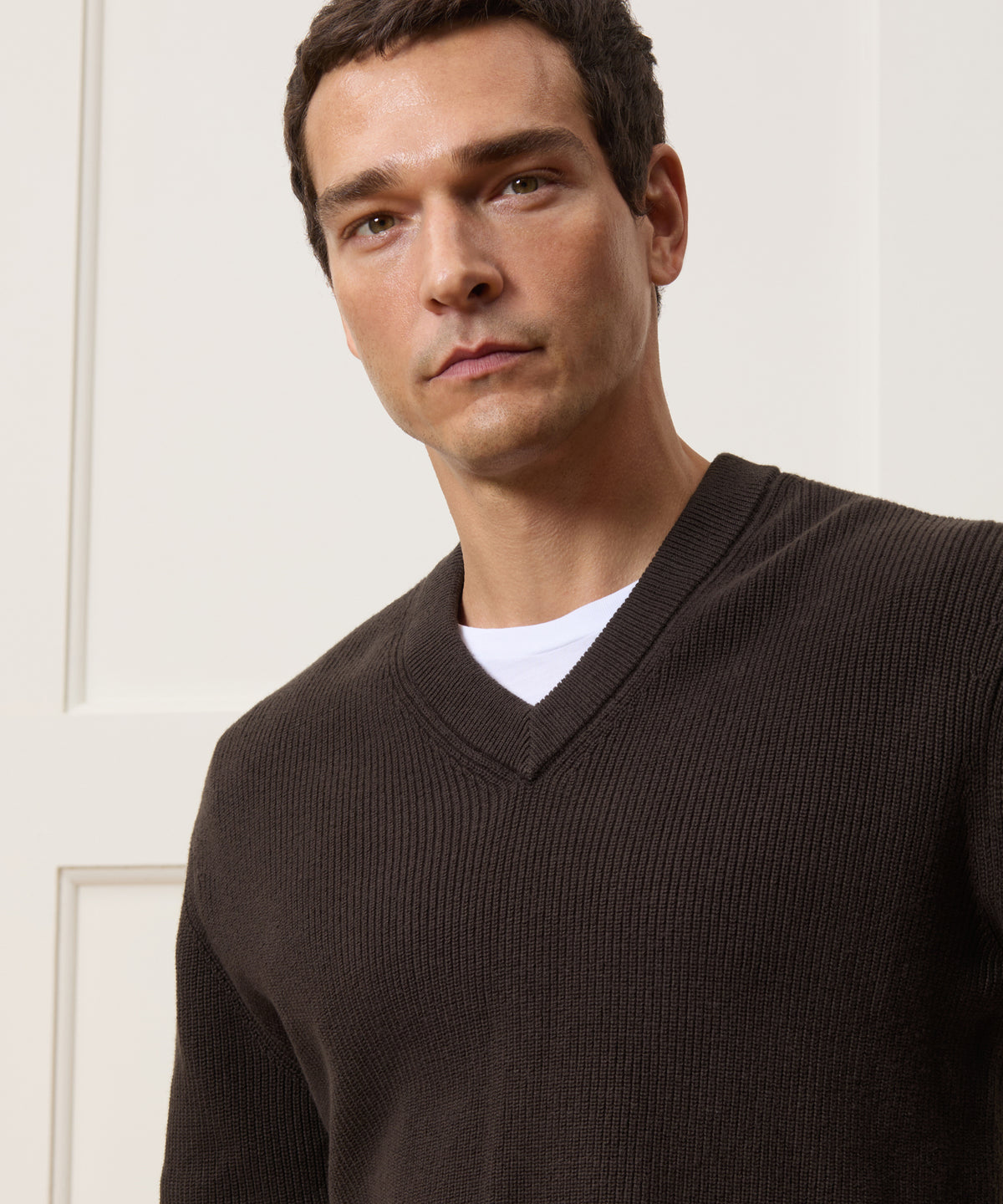 Relaxed Beechwood V-Neck Sweater