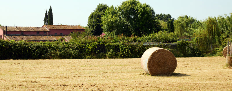 A view of farm land, with a village backdrop, quintessential Tuscany countryside.