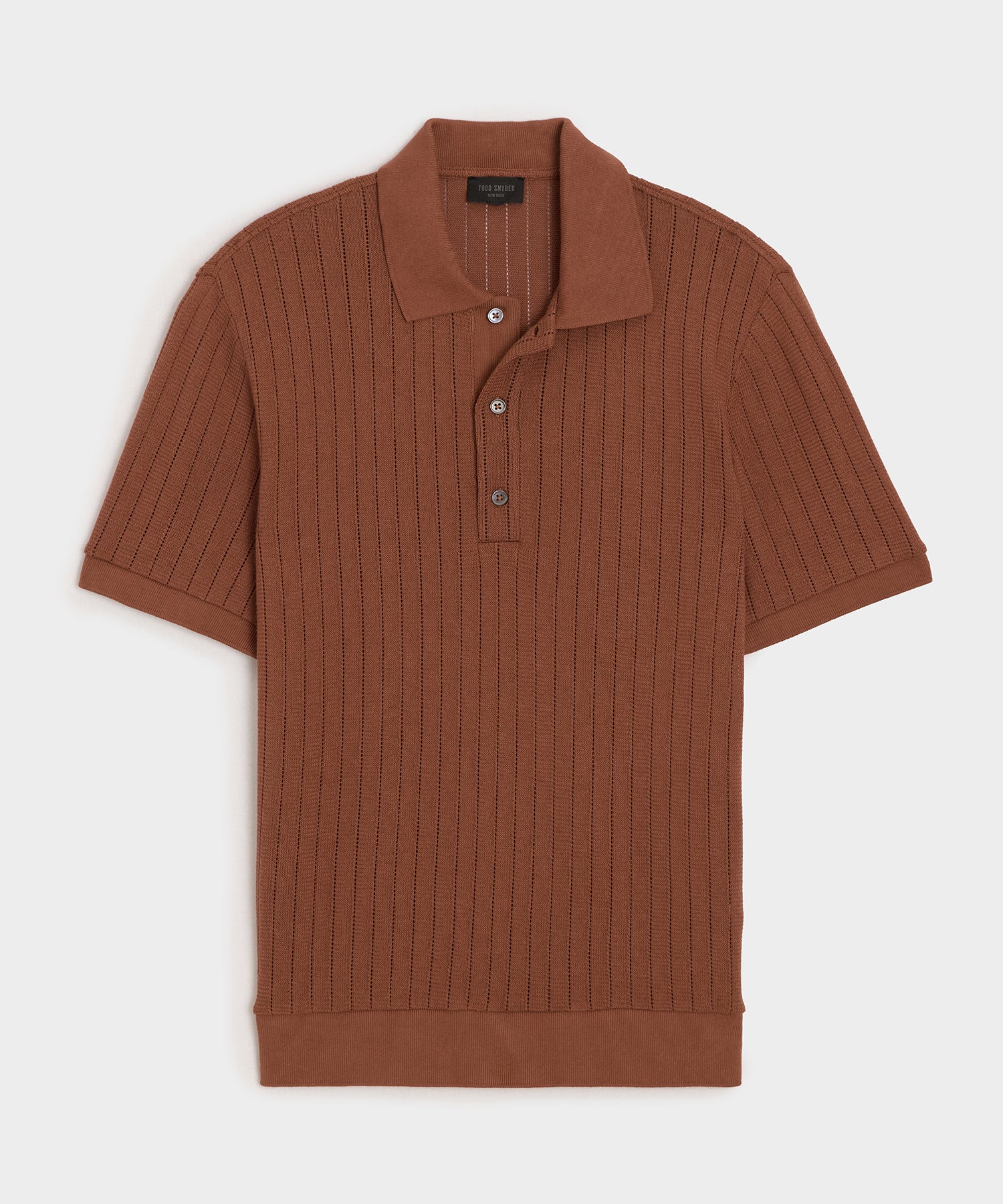 Striped Terry Polo in Light Blue Stripe – Todd Snyder