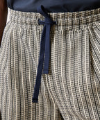 8" Playa Short