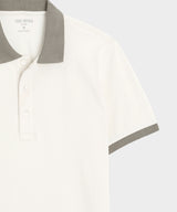 Cotton Pique Polo
