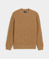 Wool Cable Knit Crewneck Sweater in Camel