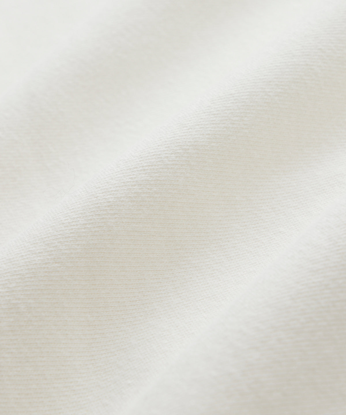Champion French Terry Hoodie