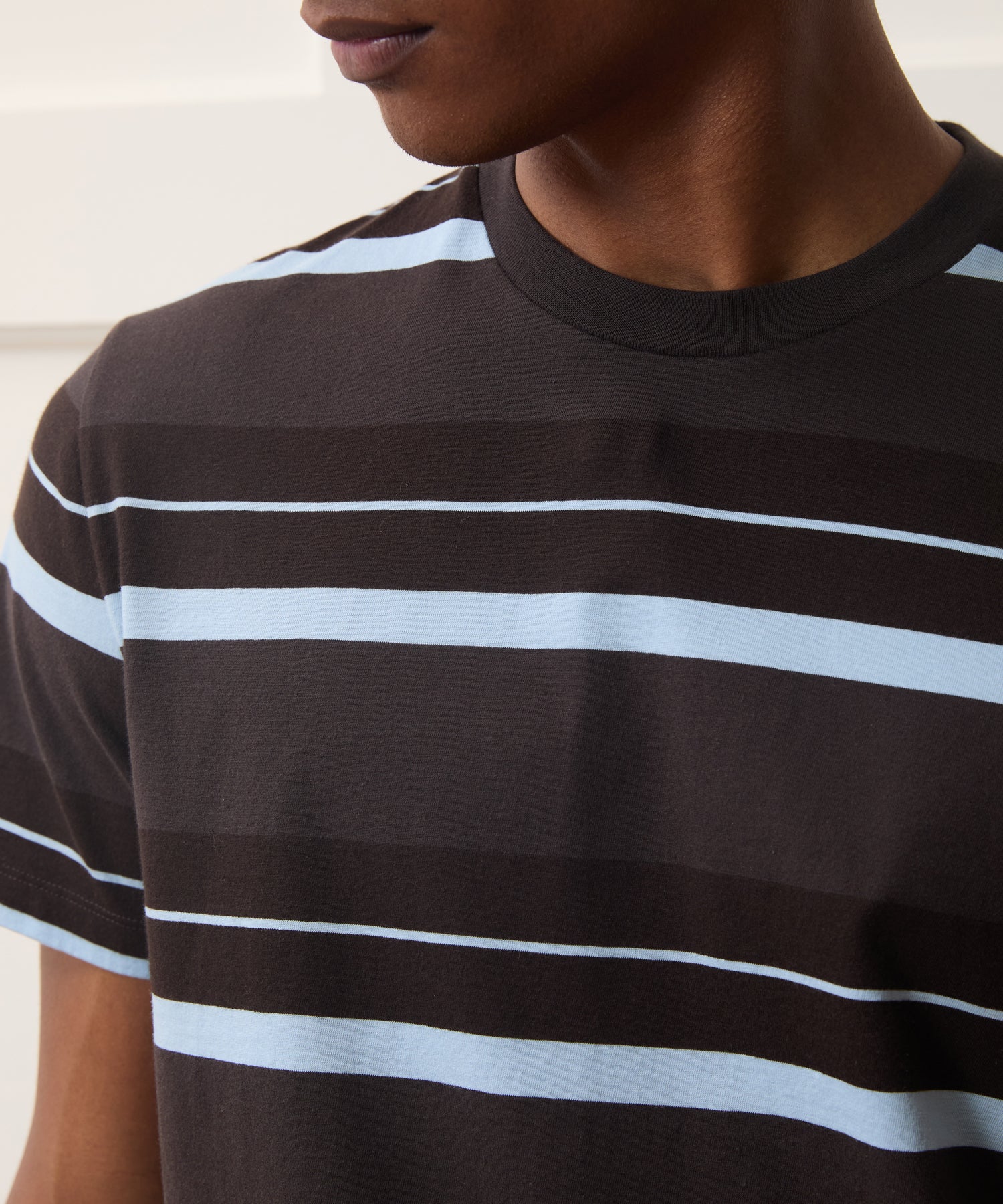 Premium Jersey Tee in Espresso Bean Stripe – Todd Snyder