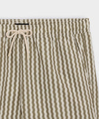 5" Montauk Swim Trunk