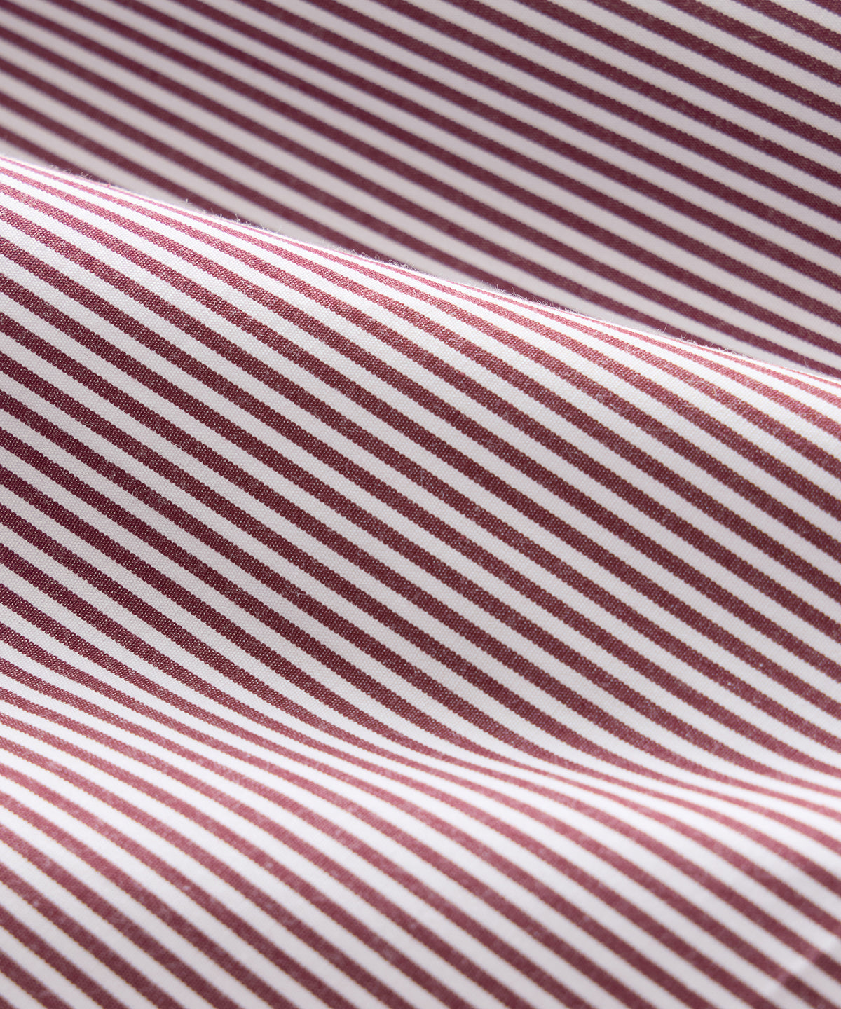 Portuguese Cotton Boxers