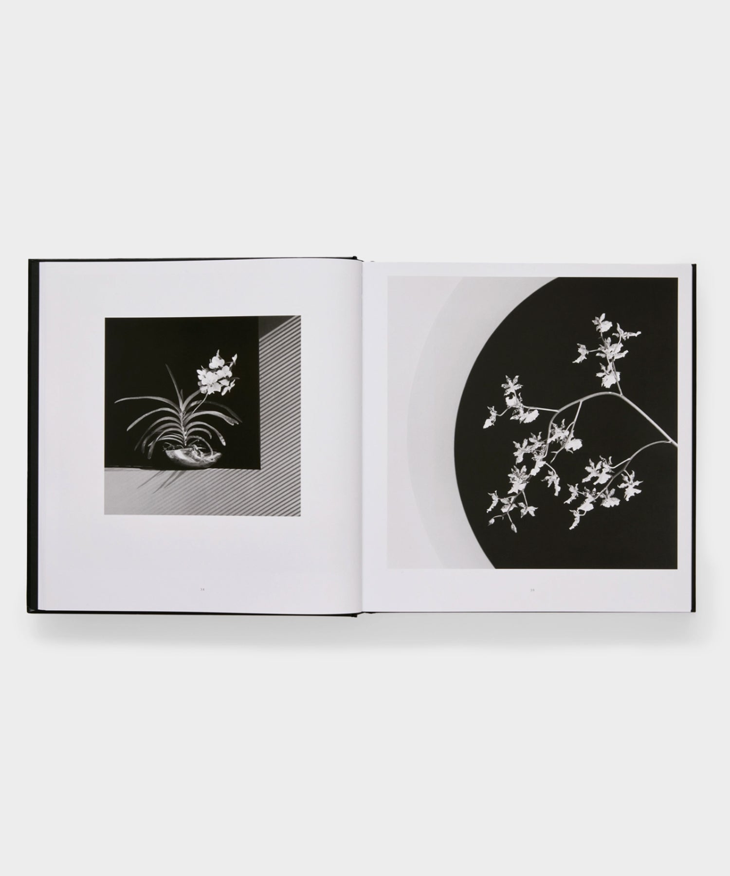 Phaidon 