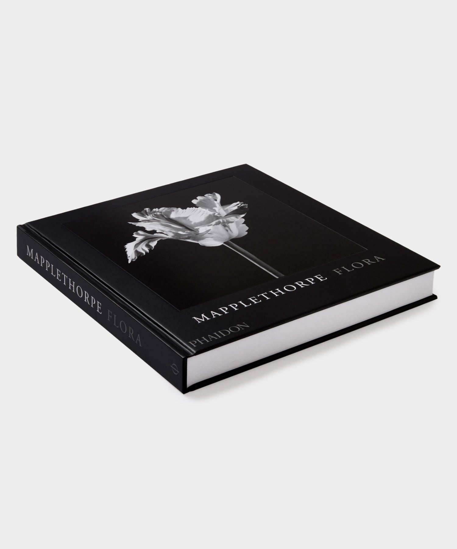 Phaidon 