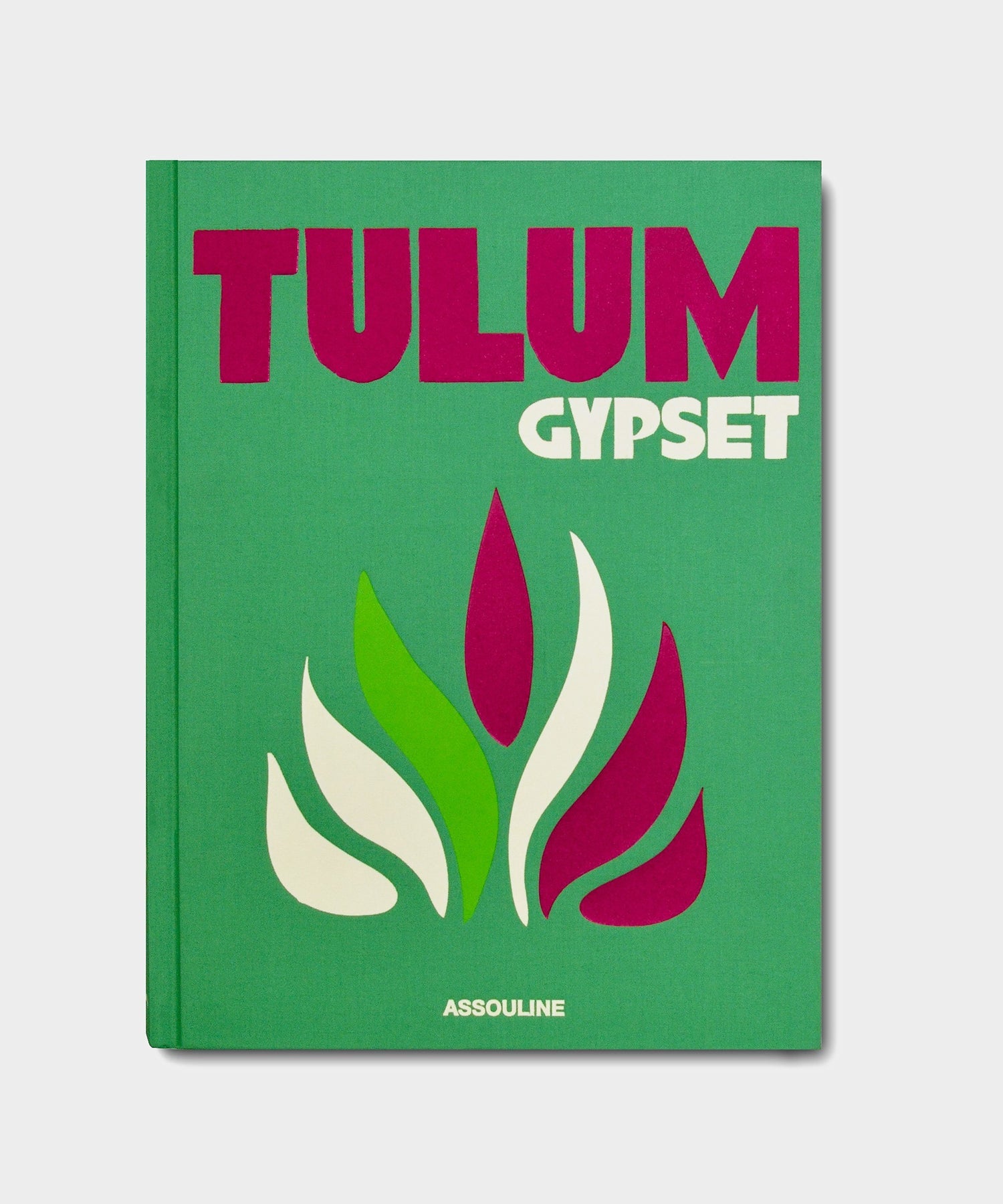 Assouline "Tulum Gypset" Book