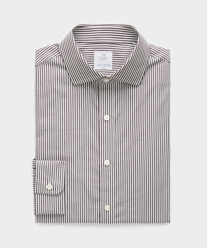 Spread Collar Poplin Dress Shirt in Brown Banker Stripe